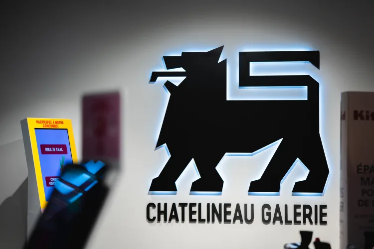 Delhaize Chatelineau